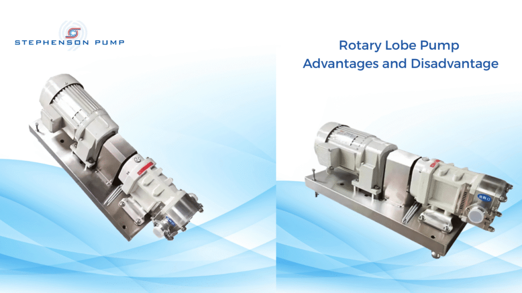 Rotary Lobe Pump: Advantages and Disadvantage